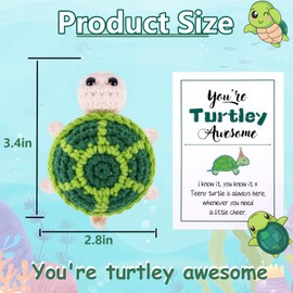 Positive Turtle with Affirmation Card, Crochet for Turtle Lovers, Funny Emotional Support Positive Gifts for Women, Cheerful Gifts for Mom, Dad, Grandma, Sister, Best Friend, or Coworker