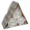 Luana Triangle Rose Set, 5 Colors, Soap, Cute, Flowers, Gift,