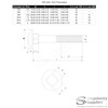 M5 (5mm x 45mm) Cup Square Carriage Bolt (Partially Threaded)
