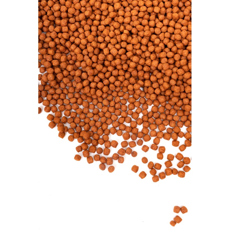 Aqua Master Prime Fish Food 10kg, 22-Pound (Small)