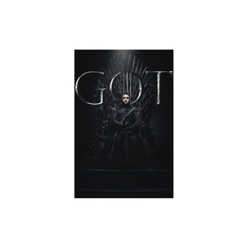 Spreadshirt Game Of Thrones Arya Stark GOT Poster 20 x
