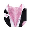 Dubulle Ascot Set for Men Silk Cravat Tie and Pocket