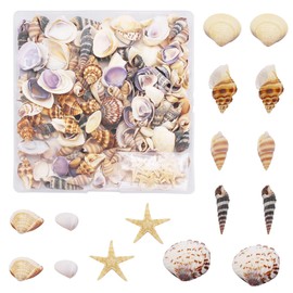 Julie Wang 1 Box of 200 Pieces Shell Conch Starfish Natural Tiny Ocean Seashells for DIY Miniature Beach Critter Decor Arts Crafts Projects Aquarium Vase Filler, Shell