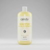Shampoo Efecto Lacio Celesty 1lt