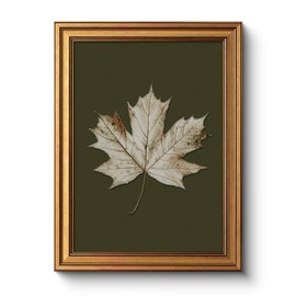 Vintage Gold Framed Autumn Leaf Canvas Wall Art, 12x16 Inch Botanical Maple Leaf Artwork Green White Print, Rustic Natural Living Room Bedroom Home Decor