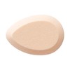 SHISEIDO Artists Touch #119 Sponge Puff (For Emulsifying Type)