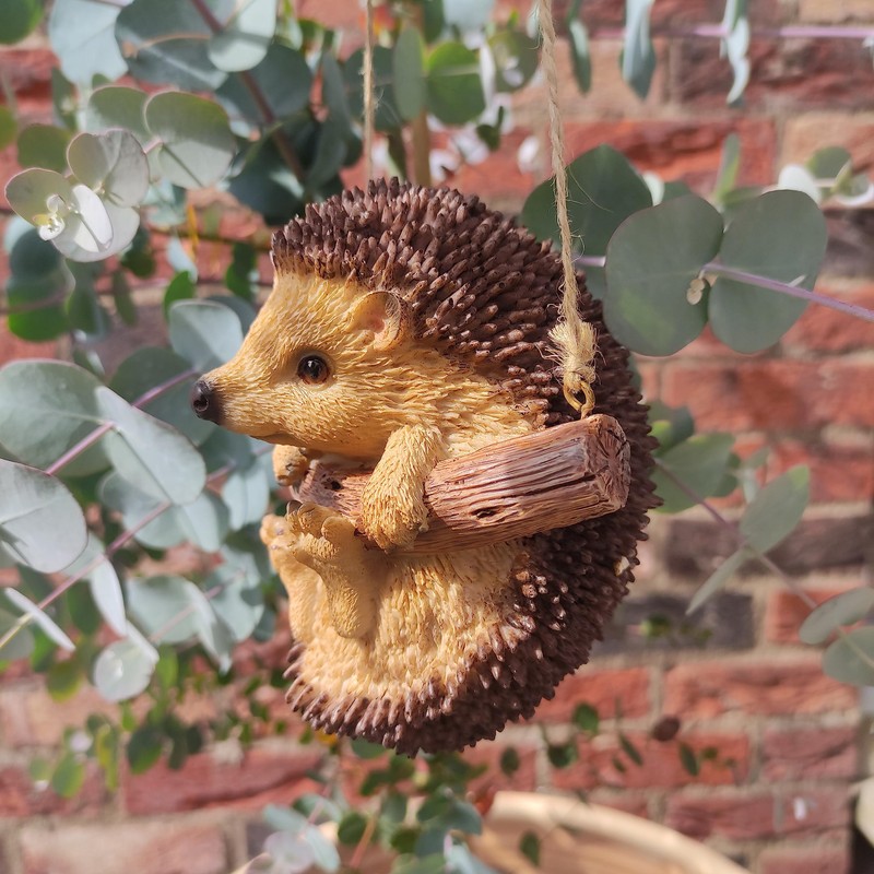 Vivid Arts Rocking Pet Pals Rocking Hedgehog, RP-HHOG-F