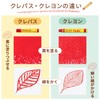 Sakura Crepas LP24R Crepas 24 Colors with Rubber Band