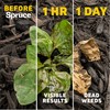 Spruce Weed Killer Refill - Versatile Weed & Grass Killer₃