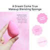 AOA Studio Collection makeup Sponge Set Latex Free and High-definition
