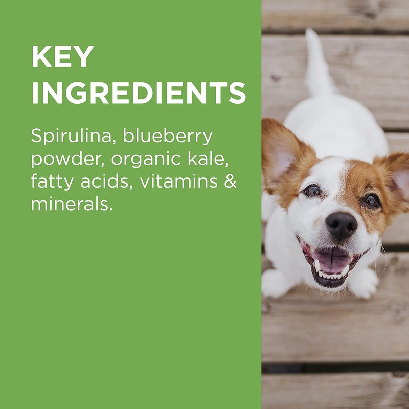 PAW By Blackmores Wellness + Vitality (For Dogs approx 60