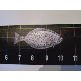 Halibut Slayer.com California Only Current Fish Ruler Measuring Tape Decal Sticker -Halibut Slayer