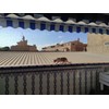 Cat Balcony Rail Net Cat Anti-Fall Netting Pet Balcony Mesh