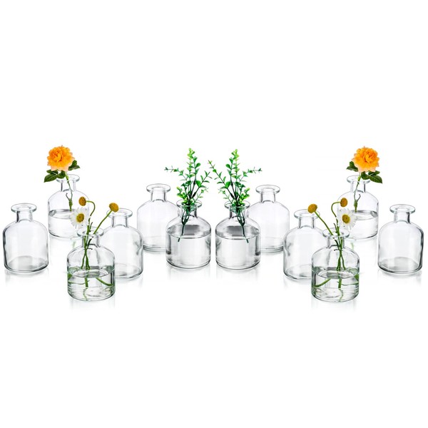 Clear Glass Bud Flower Vase: Set of 12 Glasseam Decorative Small Mini Vases Centerpieces, Modern Minimalist Wedding Reception Vase for Flowers Home Living Room Decor