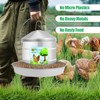Automatic Chicken Feeder 8KG/17.6lbs, Stainless Steel Poultry Feeder, Heavy Duty