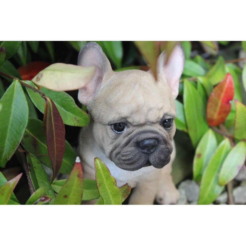 Vivid Arts Small French Bulldog