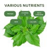 K-Herb Korean Mulberry Leaf Powder – 100% Pure Dried Mulberry