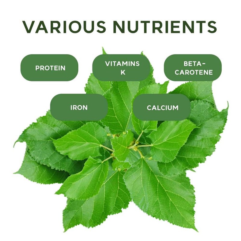 K-Herb Korean Mulberry Leaf Powder – 100% Pure Dried Mulberry