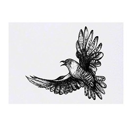 'Cuckoo Bird' Temporary Tattoo - Water Resistant, Skin-Safe, Non-Toxic Transfer (TO00021753)