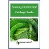 250 Savoy Perfection Cabbage Seeds | Non-GMO | Heirloom |