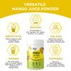 Vegs Mango Juice Powder - Freeze Dried Organic Mango Juice