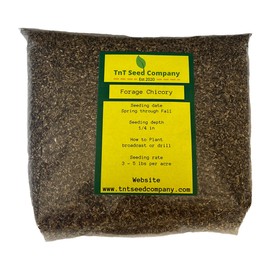 TnT Seed Company Forage Chicory, Food Plot Seed, Seeds 1/3 Acre, Drought Tolerant, Shade Tolerant, Perennial, High in Protein and Nutrients, 1 lb