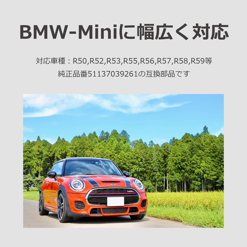 lifactlab. Mini Cooper Rear Gate Switch Cover Repair Parts 51137039261