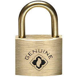 Cabinet Lock (22 Units)