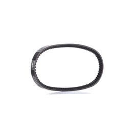 Dayco 11A0650C Gürtel für SEAT/VW