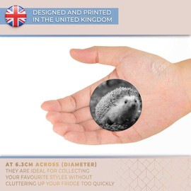 Destination Vinyl ltd Magnet for Refrigerator, Fridge BW - Cute Hedgehog Animal Garden Wildlife for Office, Cabinet and Whiteboard, Magnetic Stickers, 40889