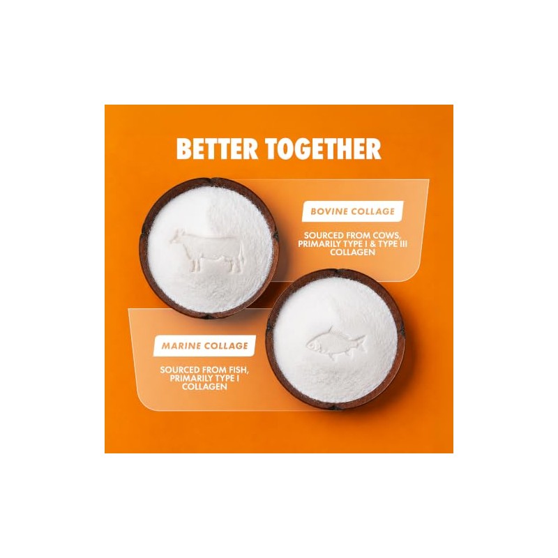 Per4m Multi Blend Collagen | 5g of Marine and 5g