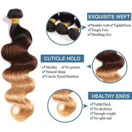 Ombre Human Hair Bundles Ombre Brazilian Hair Body Wave (T1B/4/27.10 12 14 inches) 100% Unprocessed Pure Remy Human Hair Bundles 3-Tone Black to Blonde Human Hair