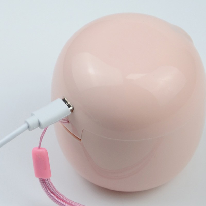 UV Pacifier Sterilization Box High Efficiency Long Standby Rechargeable Portable