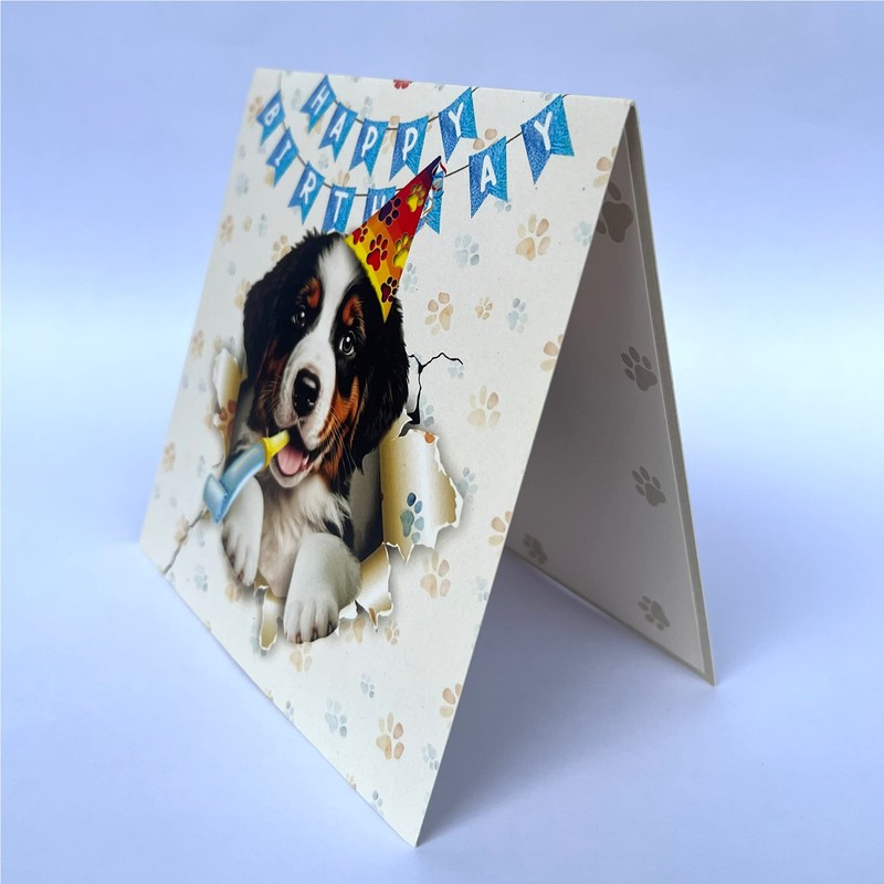 Crazytops Bernese Mountain Dog Birthday Card, Pop-Up, 6 x 6