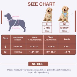 No Pull Dog Harness and Leash Set for Small Puppy with Safety Buckles, Dog Harness for 5-12lbs Pets Outdor