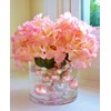 Vase Pearlfection 2 Transparent Water Gels Kits - Fills 2