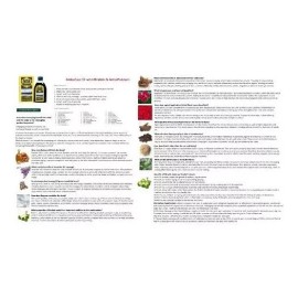 Amla Aceite - Aceite Brahmi - Mezcla De Brahmi Y Amla Aceite