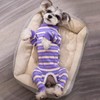Dog Striped Recovery Suit, Puppy After Surgery Onesie for Female