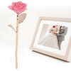 24K Gold Rose Dipped Golden Leaves Girlfriend Wife Valentine's Day