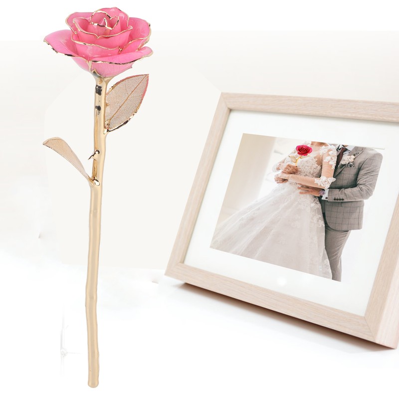 24K Gold Rose Dipped Golden Leaves Girlfriend Wife Valentine's Day
