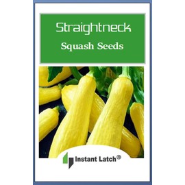 20 Straightneck Squash Seeds | Non-GMO | Fresh Garden Seeds
