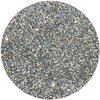Eulenspiegel 907467 - Organic Glitter Holographic Silver, Fine, 6 g, Biodegradable, Glitter for Face & Body