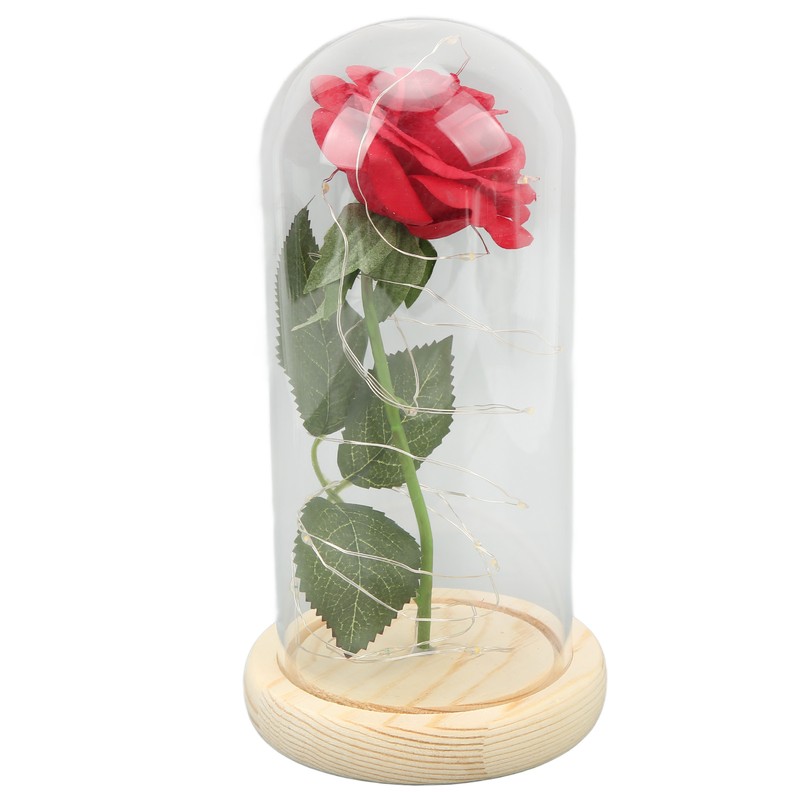 Rose in Glass Dome Lucky Beautiful Symbolism Romantic Enchanted Rose