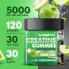 Supplmnt. Creatine Gummies 5000mg 120ct Max Strength for Men and