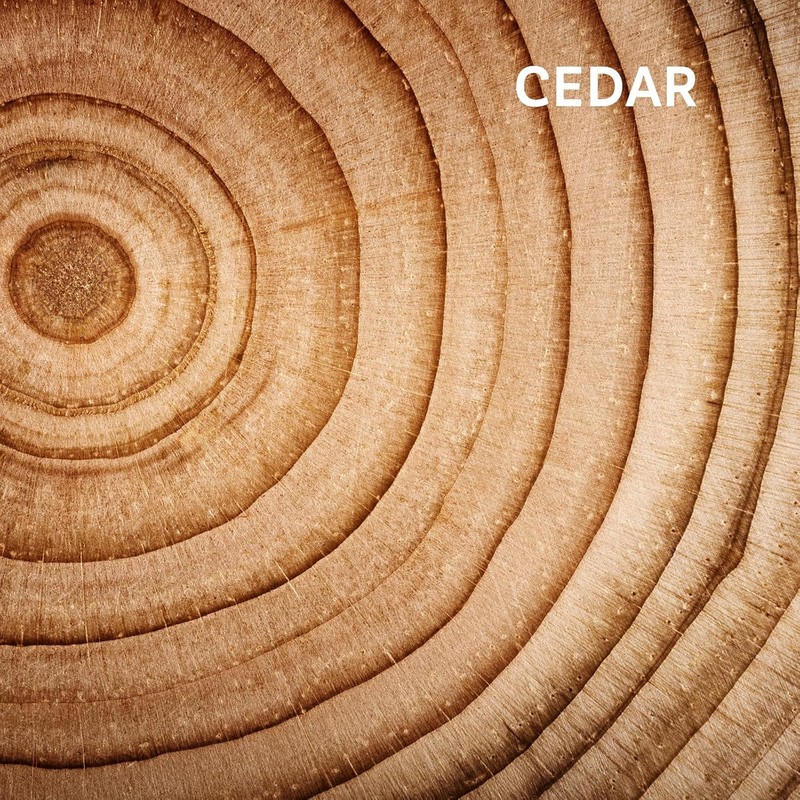 Zermat For Men, Intrepid Experience Fragrance Body Spray, 8.45 Fl.