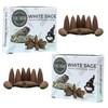 TRUMIRI White Sage Backflow Incense Cones - 20 Waterfall Cones