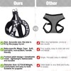 BEAUTYZOO Small Dog Harness and Leash Set,Step in No Choke