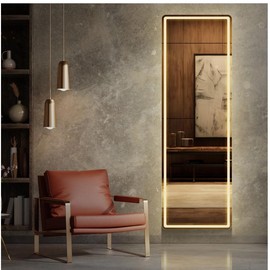 64"x21" Rectangle LED Full Length Mirror, Full Body Standing Floor Mirror, 3 Color Modes for Bedroom, Cloakroom