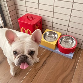 PHIXBEAR Building Blocks 4 Dish Cat Bowl Raised Food Bowls for Wet Food Random Splicing,304 Stainless Steel Slow Feeder Tilted Cat Bowl for Fast Eaters Prevent Black Chin Anti-Tipping