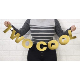 Inkdotpot Pre Strung Bunting Two Cool Metallic Gold Gender Reveal Bunting Flag Pregnancy Announcement Banner Garland